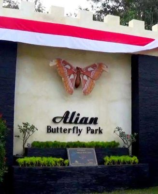 Omah-Munggu-Alian-Butterfly-Park
